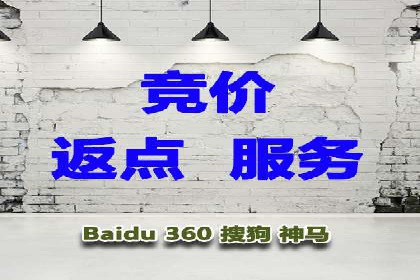 百度联盟推广网络覆盖的案例研究